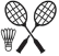 Badminton Court