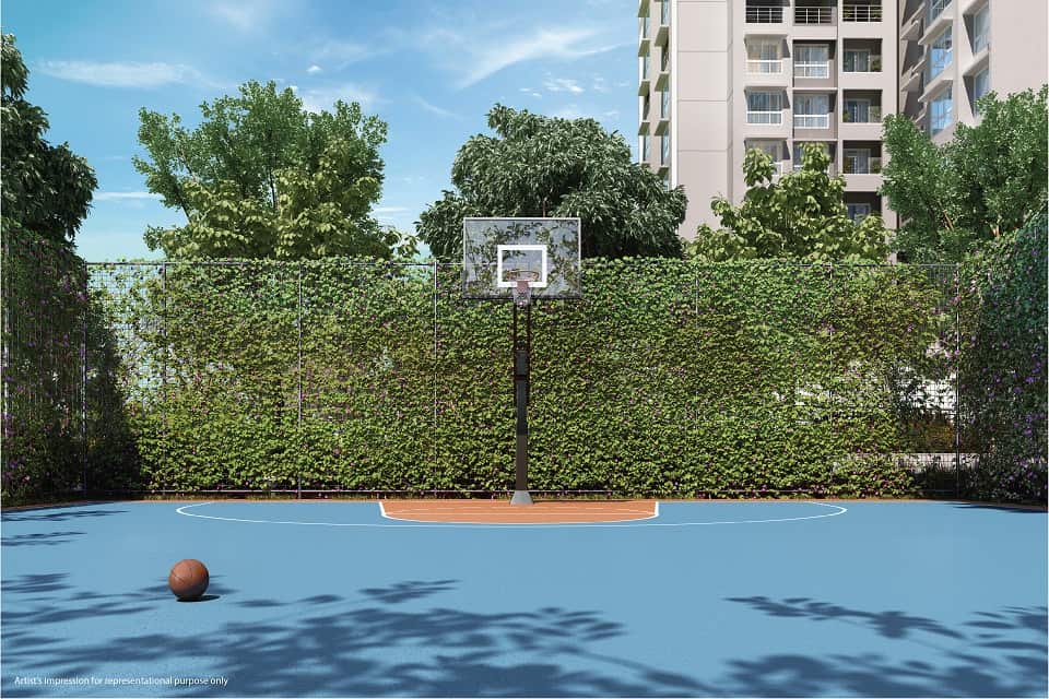 Half Basketball Court - Emerald Isle Amenities